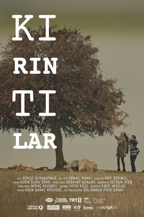Kırıntılar (2016) poster