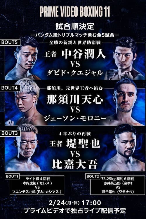 PRIME VIDEO BOXING 11 (2025) poster
