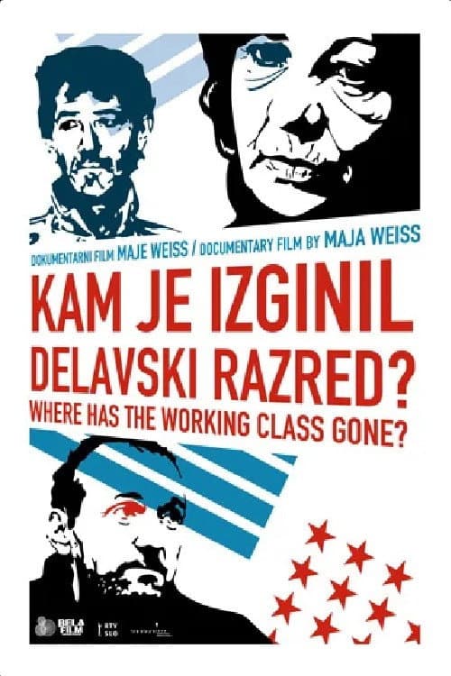 Kam je izginil delavski razred? (2010) poster
