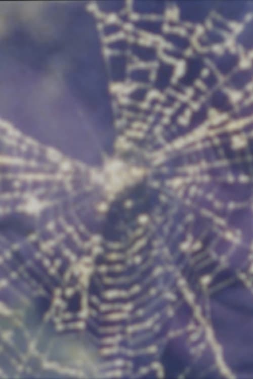Worm and Web Love (1999) poster