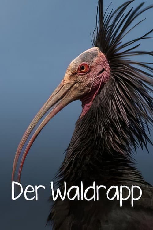 Der Waldrapp: Zugvogel im Aufwind (2023) poster