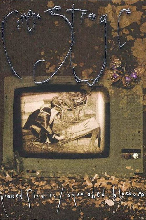 Cinema Strange: Pressed Flowers / Squashed Blossoms (2005) poster