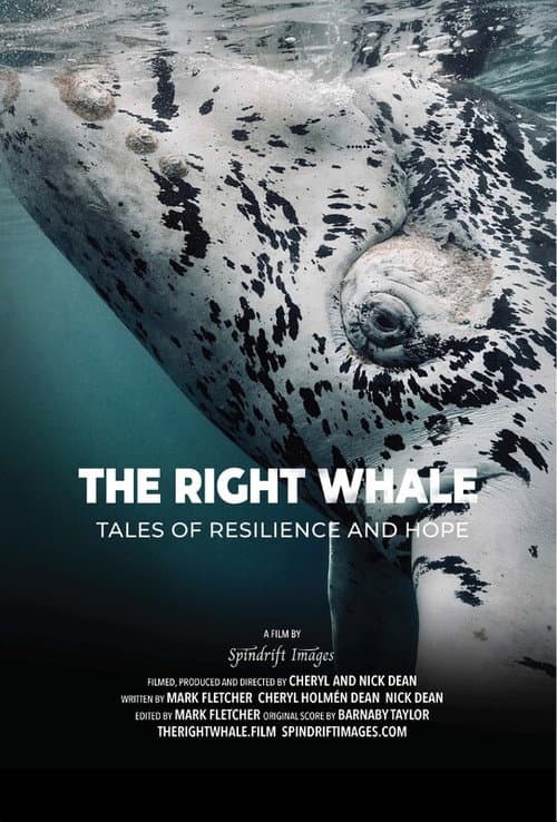 The Right Whale (2026) poster