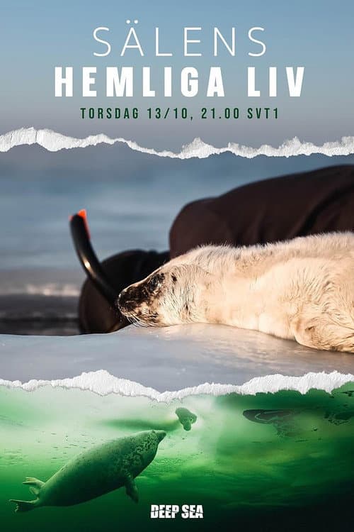 Sälens Hemliga Liv (2022) poster
