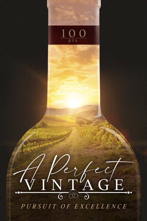 A Perfect Vintage (2021) poster