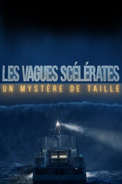 Les vagues scélérates un mystère de taille (2025) poster