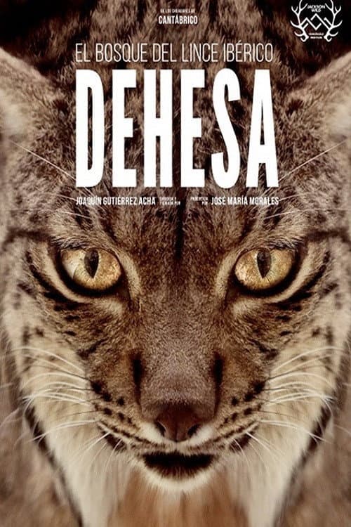 Dehesa: el bosque del lince ibérico (2020) poster
