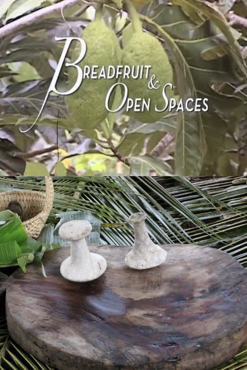 Breadfruit and Open Spaces (2012) poster