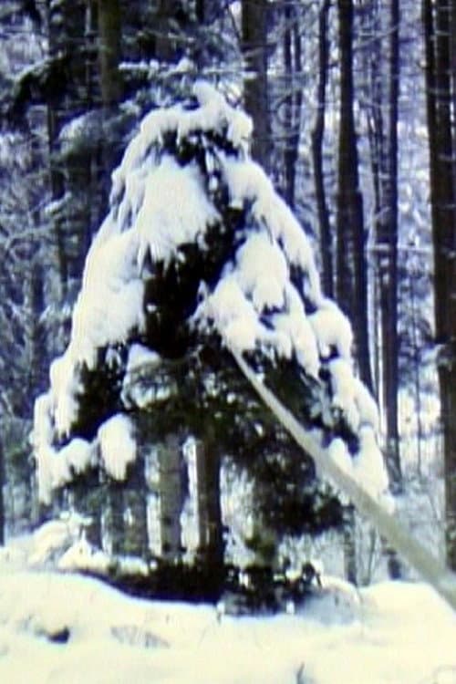 Pine Tree with Rubber Band (1980) poster