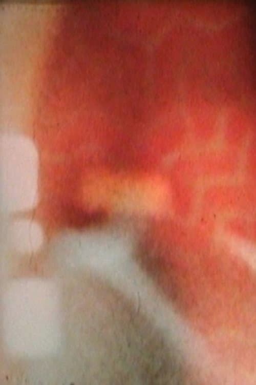 Along with the Phoenix (2008) poster