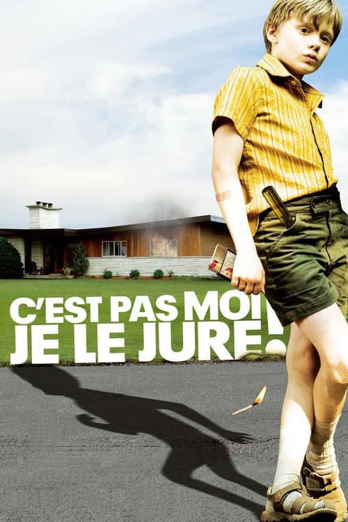C'est pas moi, je le jure! (2008) poster