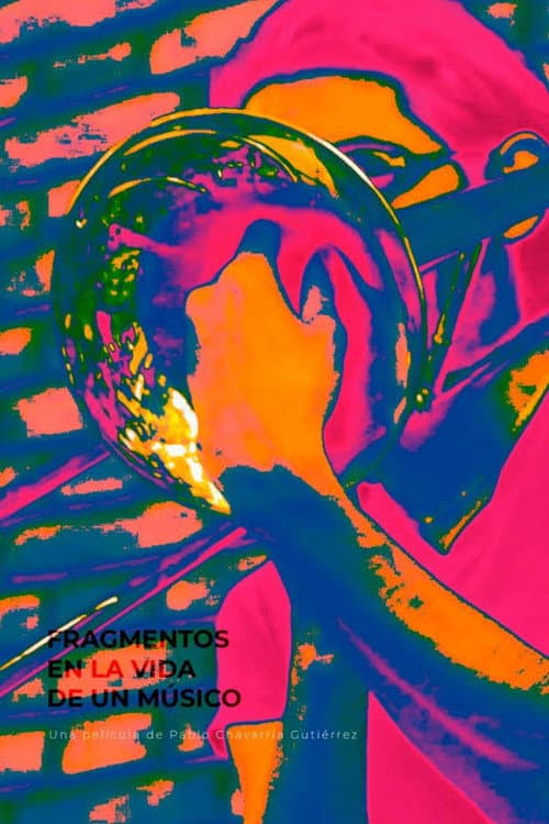 Fragmentos en la vida de un músico (2020) poster