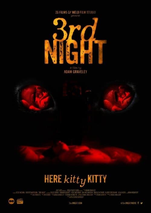 3rd Night (2017) poster