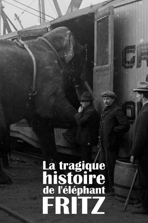 La Tragique Histoire de Fritz l'éléphant (2023) poster