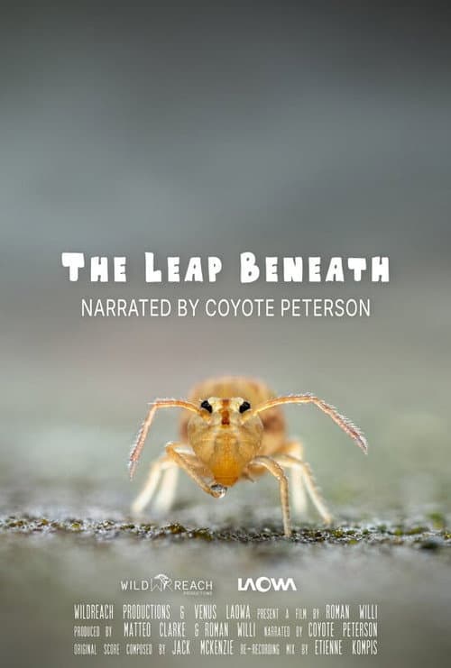 The Leap Beneath (2026) poster