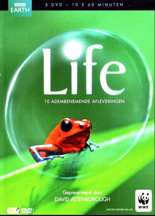 Life (2009) poster
