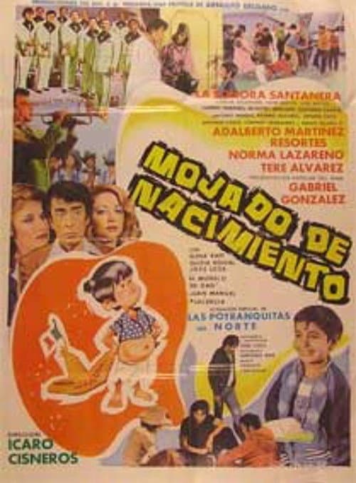 Mojado de nacimiento (1981) poster