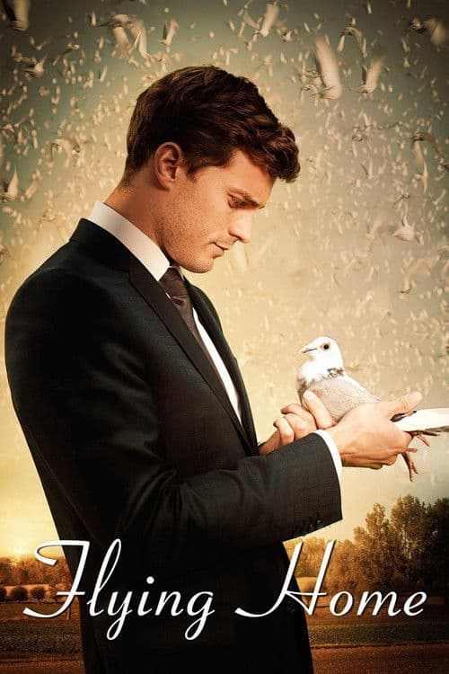 Flying Home (2014) poster