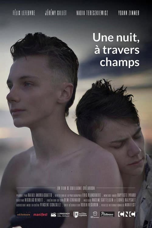 Une nuit, à travers champs (2020) poster
