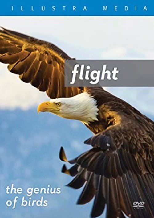 Flight: The Genius of Birds (2013) poster