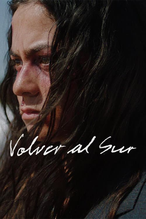 Volver al Sur (2022) poster