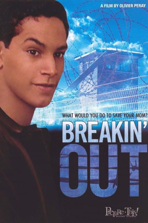 Grosse bêtise (2001) poster