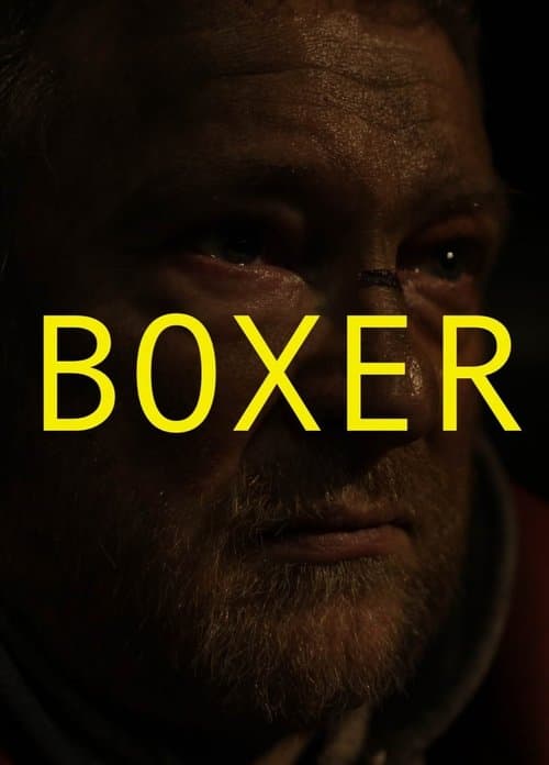Boxer (2010) poster