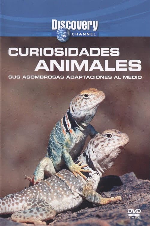Wild Weird Animals (2004) poster