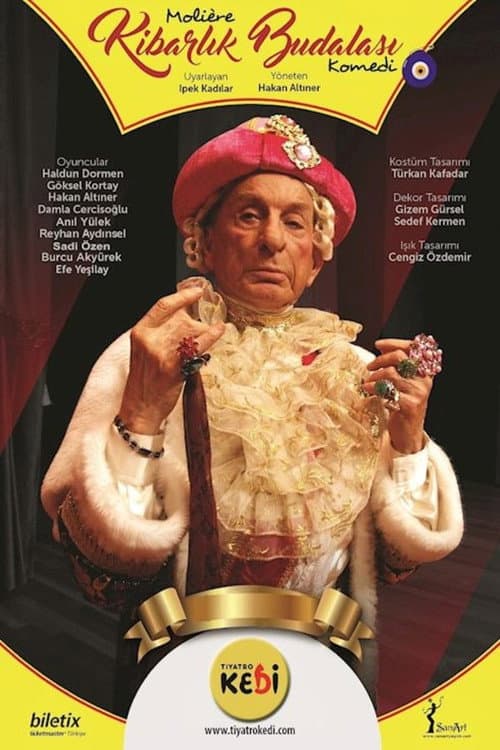 Kibarlık Budalası (2020) poster