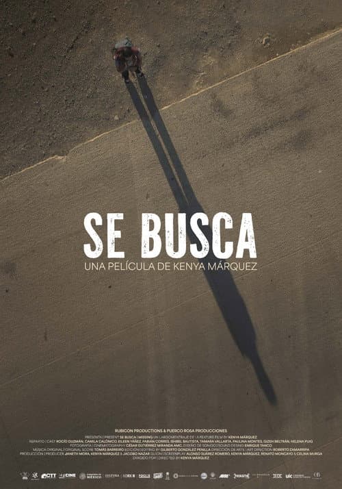 Se busca (2026) poster