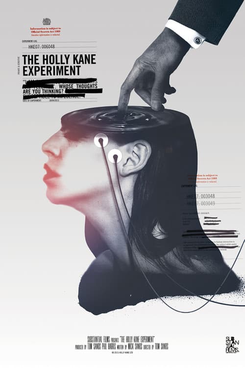 The Holly Kane Experiment (2017) poster