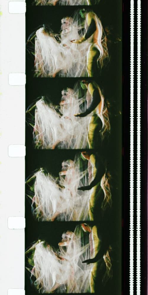 Chrysalis (1973) poster