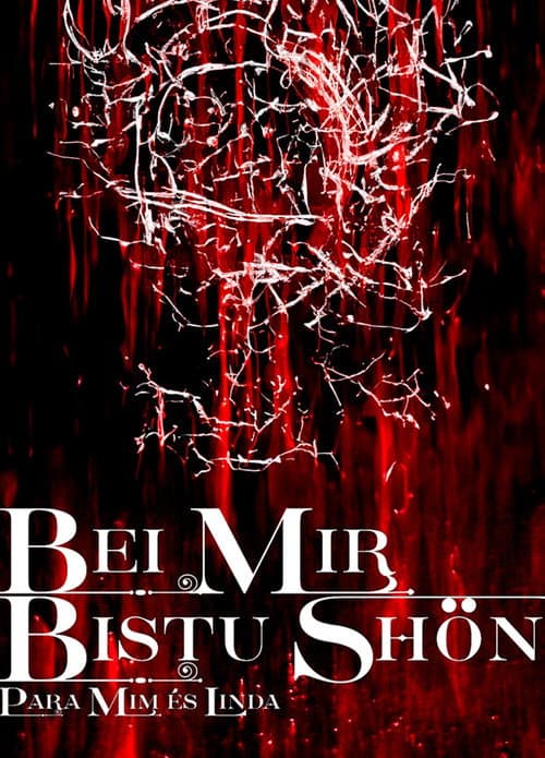 BEI MIR BISTU SHON: PARA MIM ES LINDA (2023) poster