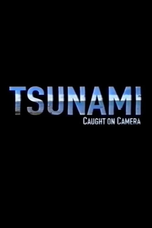 Tsunami: Caught on Camera (2009) poster
