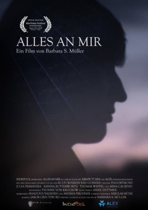 Alles an mir (2011) poster