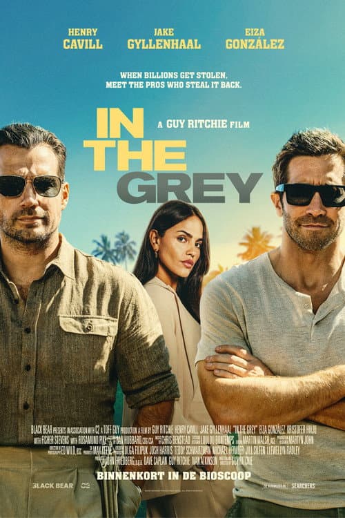 In the Grey (2026) poster