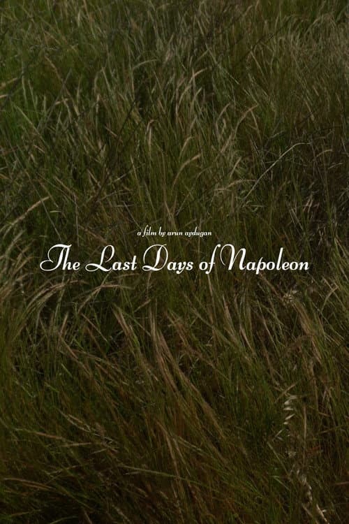 The Last Days of Napoléon (2028) poster