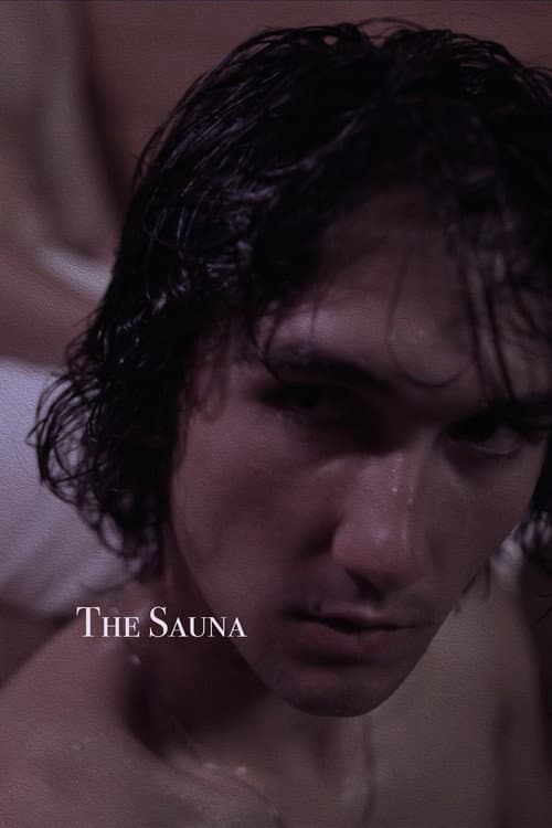 The Sauna () poster