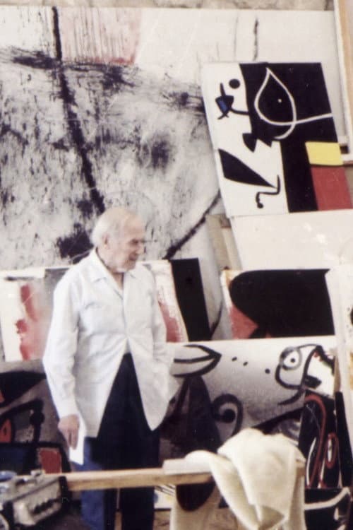 D’un roig encès: Miró i Mont-roig (1979) poster