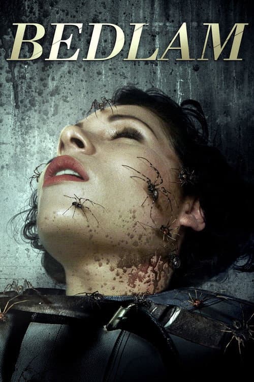 Bedlam (2015) poster