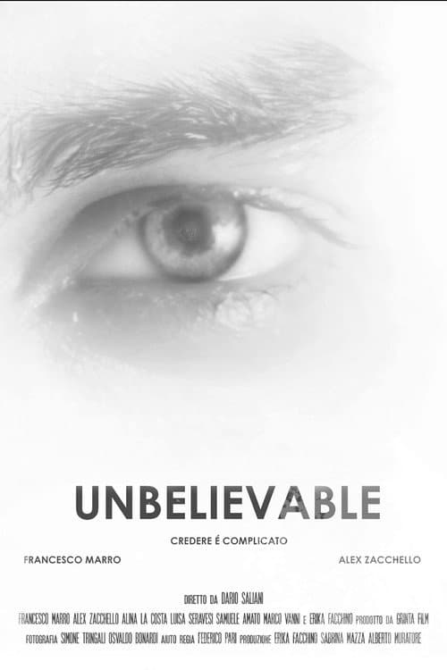Unbelievable - Credere è complicato (2015) poster