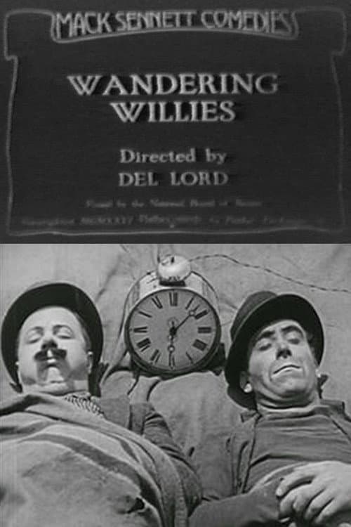 Wandering Willies (1926) poster