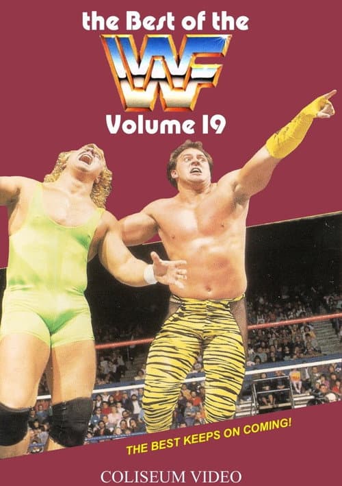 The Best of the WWF: volume 19 (1989) poster