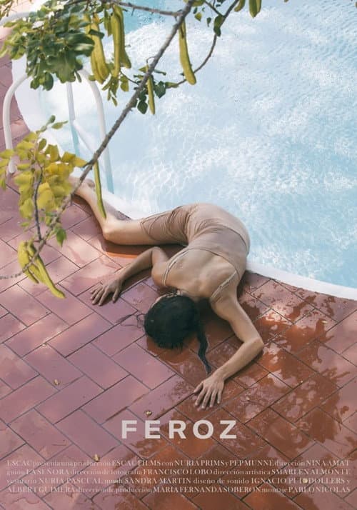 Feroz (2019) poster
