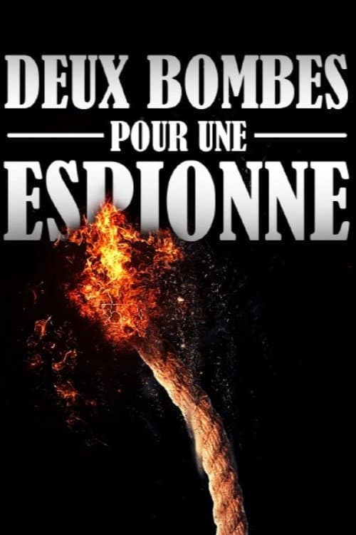 Deux bombes pour une espionne (2015) poster