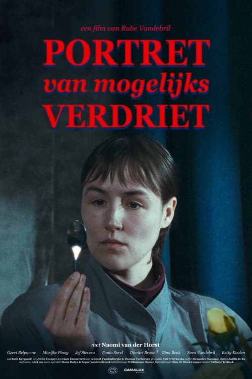 Portret van mogelijks verdriet (2026) poster