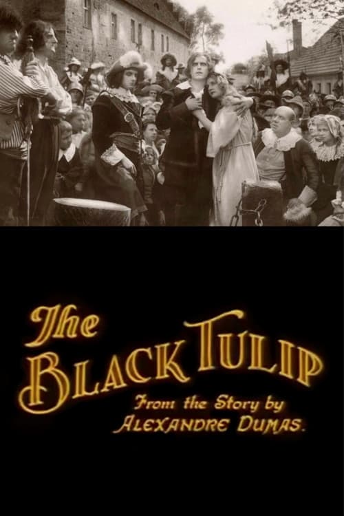 De zwarte tulp (1921) poster