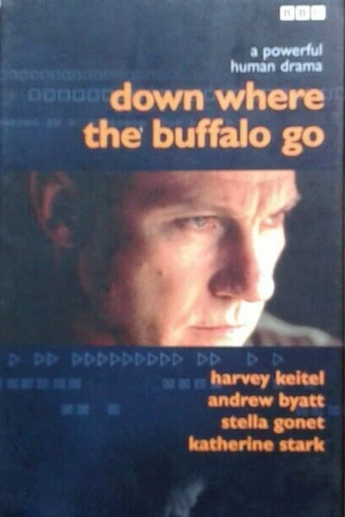 Down Where the Buffalo Go (1988) poster