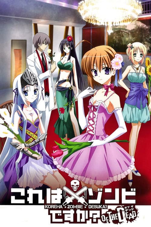これはゾンビですか? (2011) poster