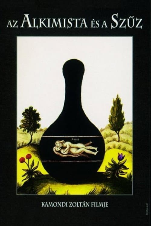 Az alkimista és a szűz (1998) poster